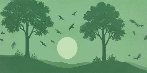Why the Oxygen Economy?